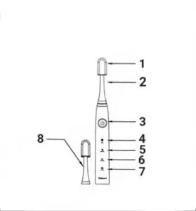 اجزای مسواک برقی زیکلاس مد مدل CH-08 کیهان طب