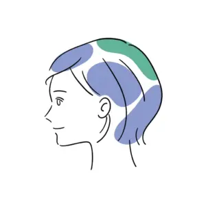 تصویر نواحی قابل ماساژ پوست سر برای استفاده با ماساژور سر شارژی اسکالپ مدل AH-368 | Scalp Massager AH-368 در سایت تجهیزات پزشکی کیهان طب k-teb.com